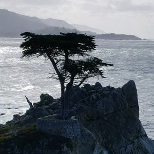 Meet your Posher, Celina